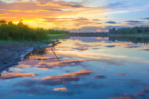 光影定格，見證榮耀——伊比沙杯廊坊首屆攝影大展獲獎公示暨專業攝像服務回顧